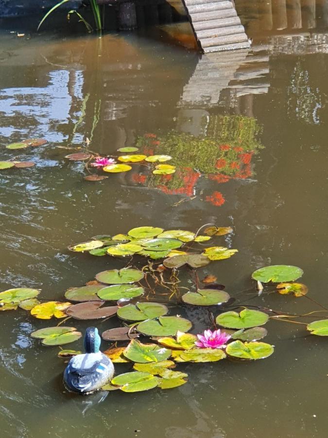 La Mare Aux Canards Sassetot-le-Mauconduit Zewnętrze zdjęcie